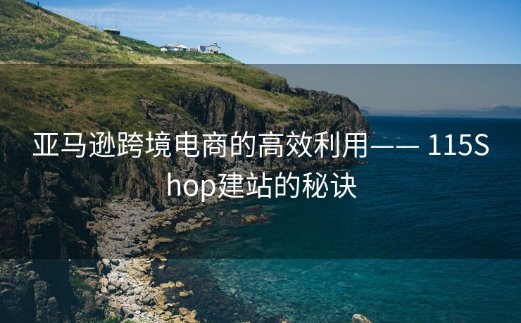 亚马逊跨境电商的高效利用—— 115Shop建站的秘诀