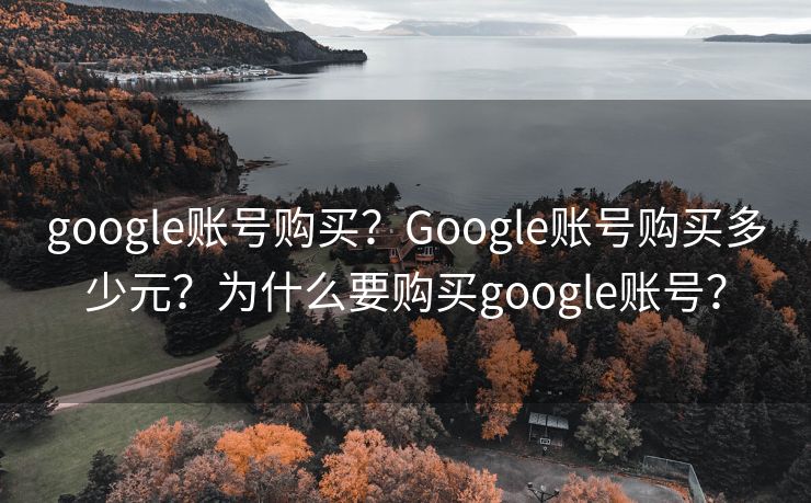 google账号购买？Google账号购买多少元？为什么要购买google账号？