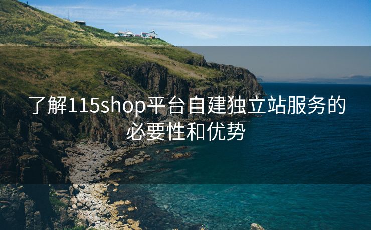 了解115shop平台自建独立站服务的必要性和优势