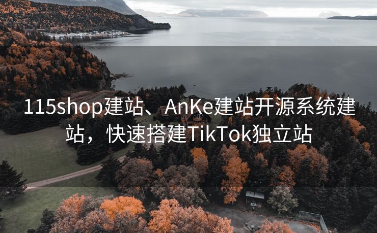 115shop建站、AnKe建站开源系统建站，快速搭建TikTok独立站