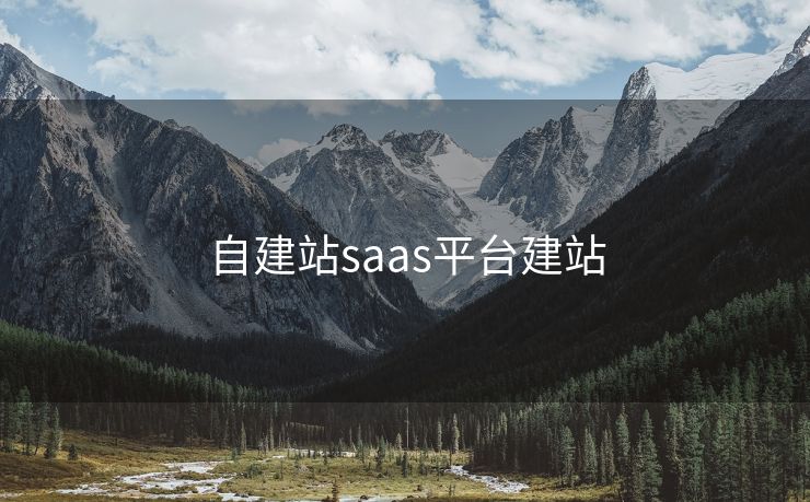 自建站saas平台建站