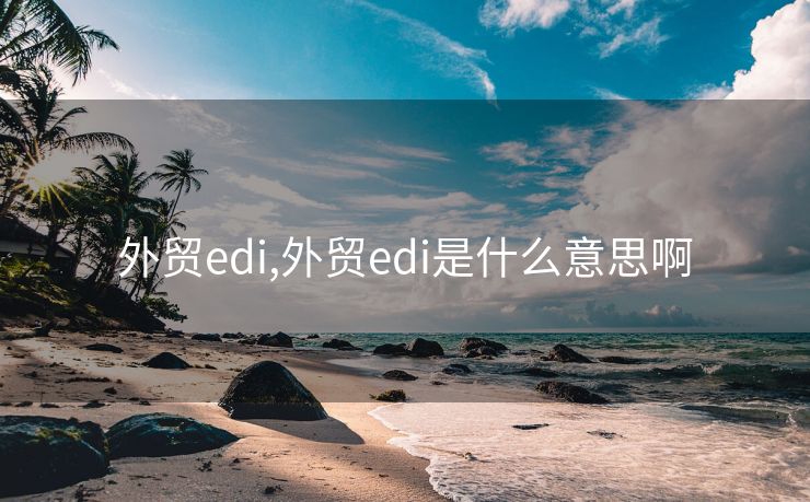 外贸edi,外贸edi是什么意思啊